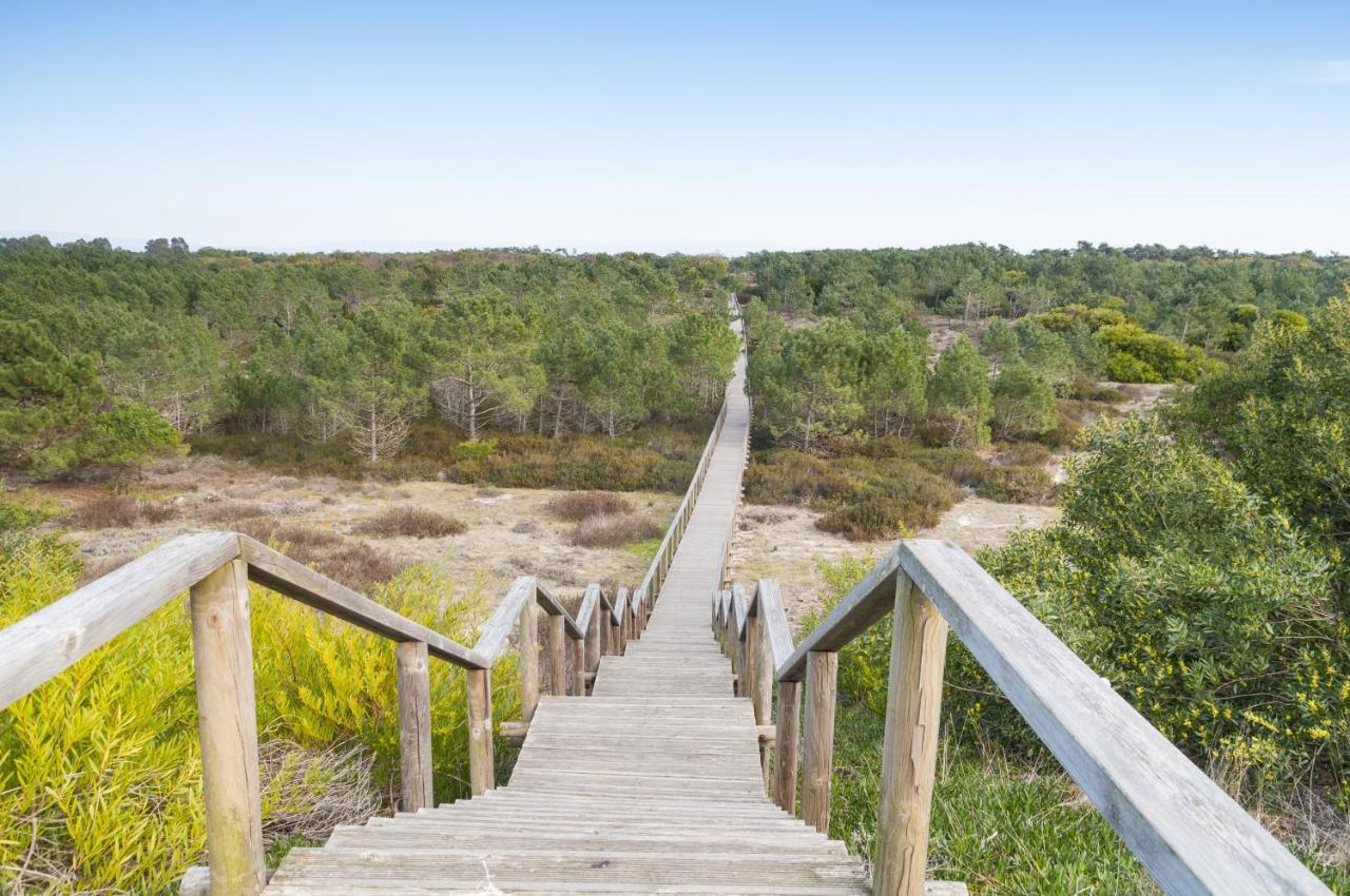 Puro Sao Jacinto Lägenhet Aveiro Exteriör bild